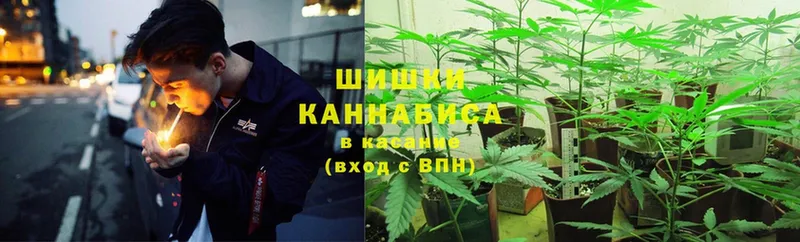 где купить наркоту  Карасук  Марихуана Ganja 